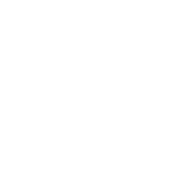 LevelGround logo